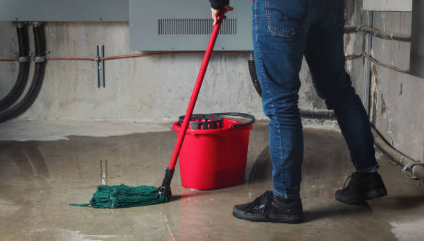 Best Water damage cleanup near me  in Jamestown, ND