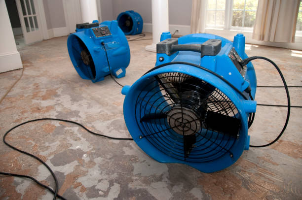 Professional Water damage restoration in Jamestown, ND