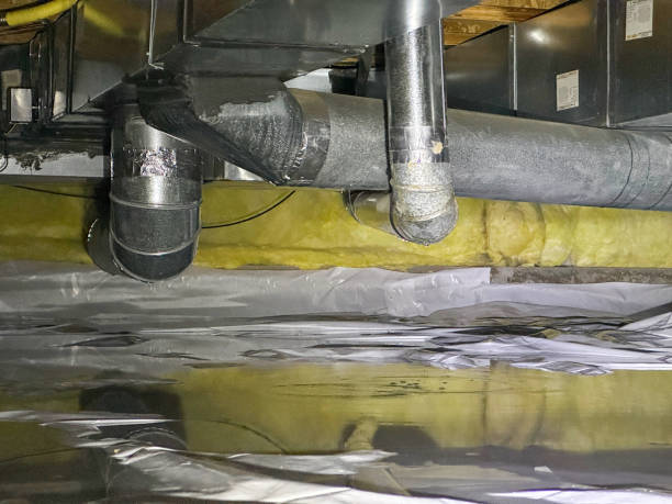 Best Water damage repair service  in Jamestown, ND