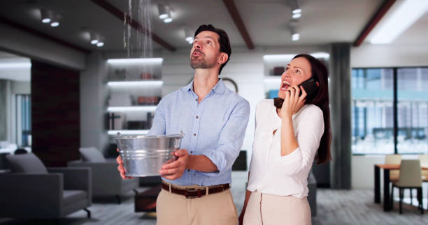 Best Water damage restoration mold remediation  in Jamestown, ND